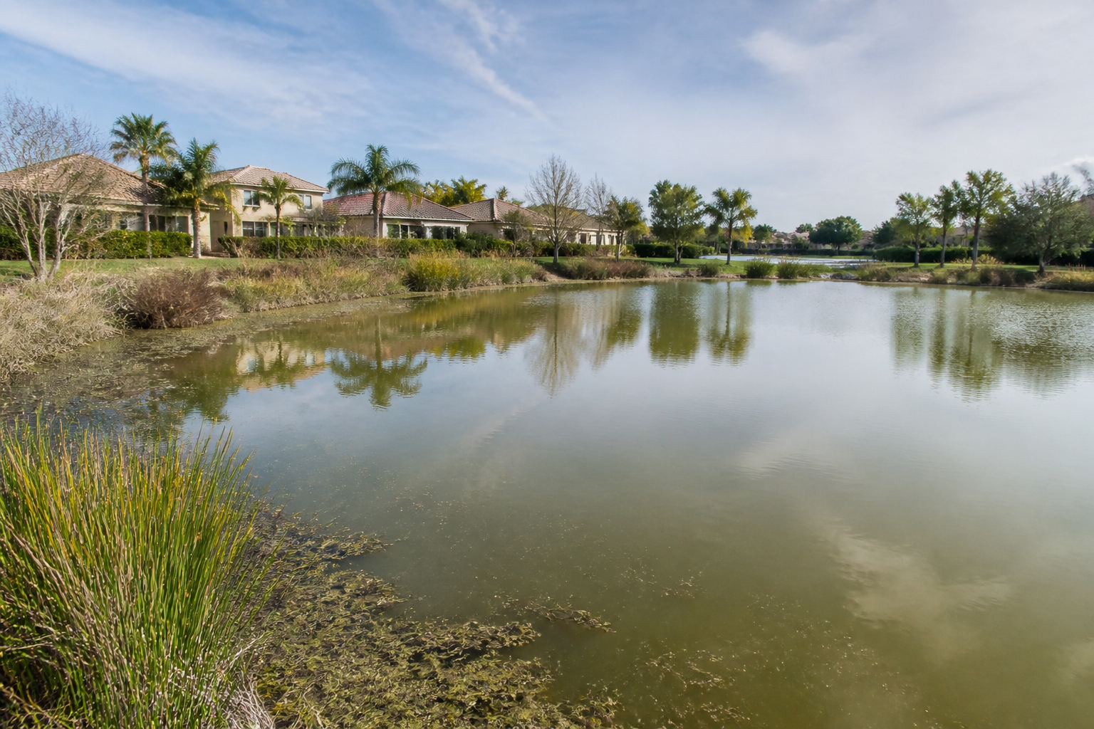 Wide view of a lake property during restoration assessment