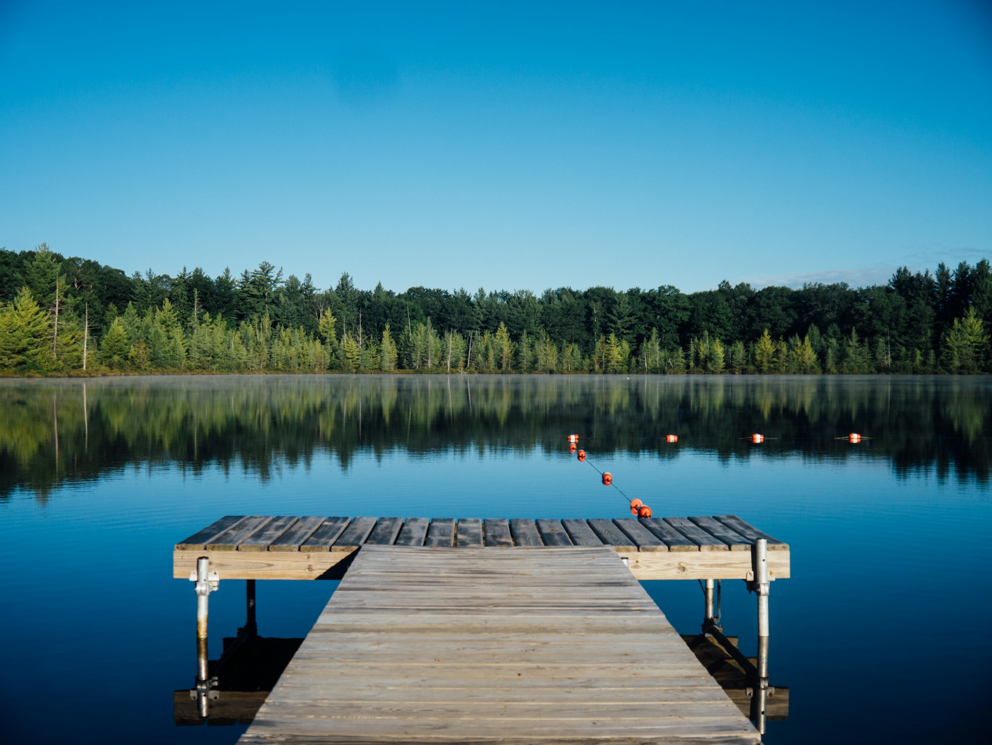 Wooden dock on a calm lake with natural shoreline vegetation