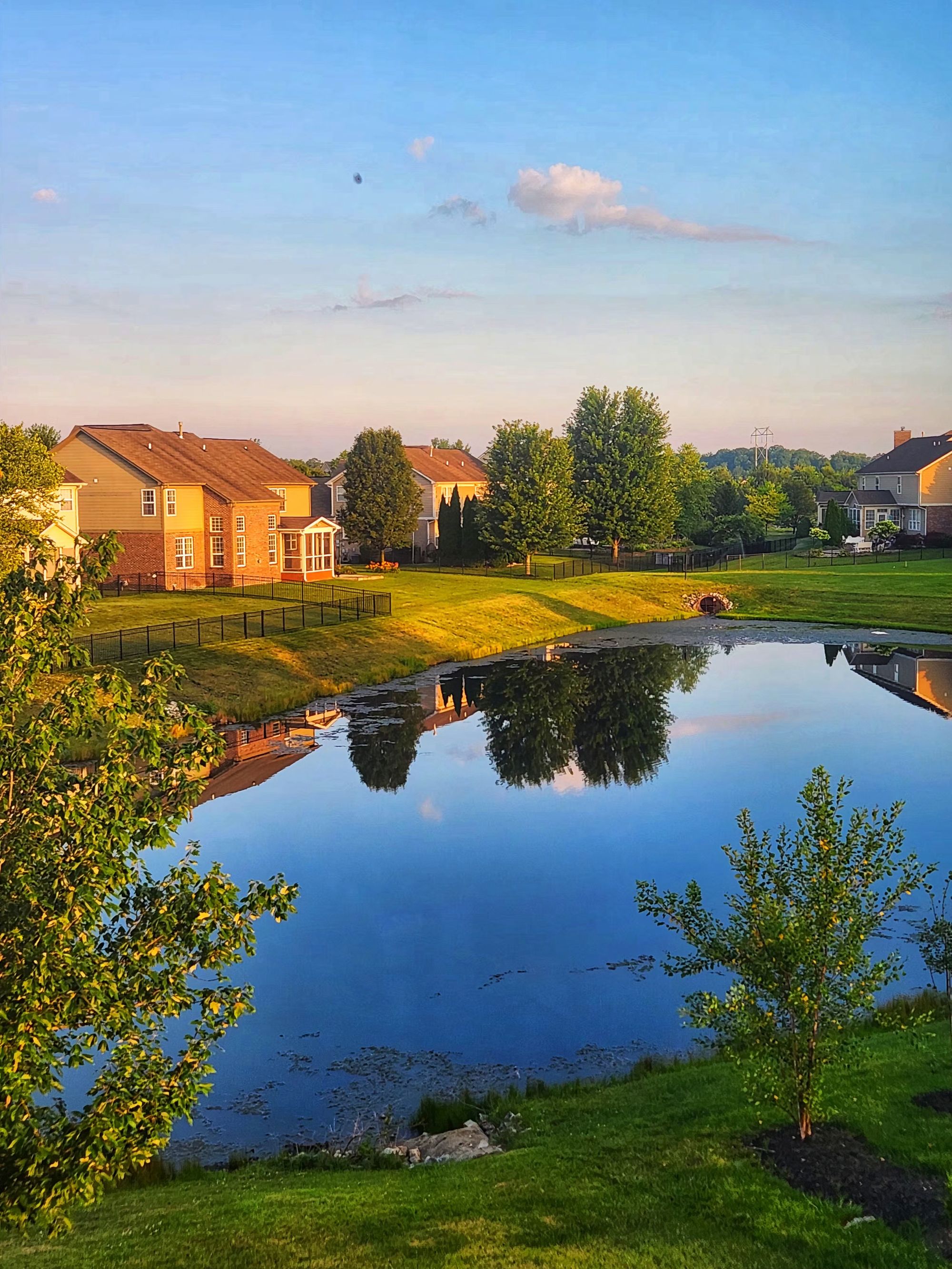 Residential community pond with homes along a natural shoreline