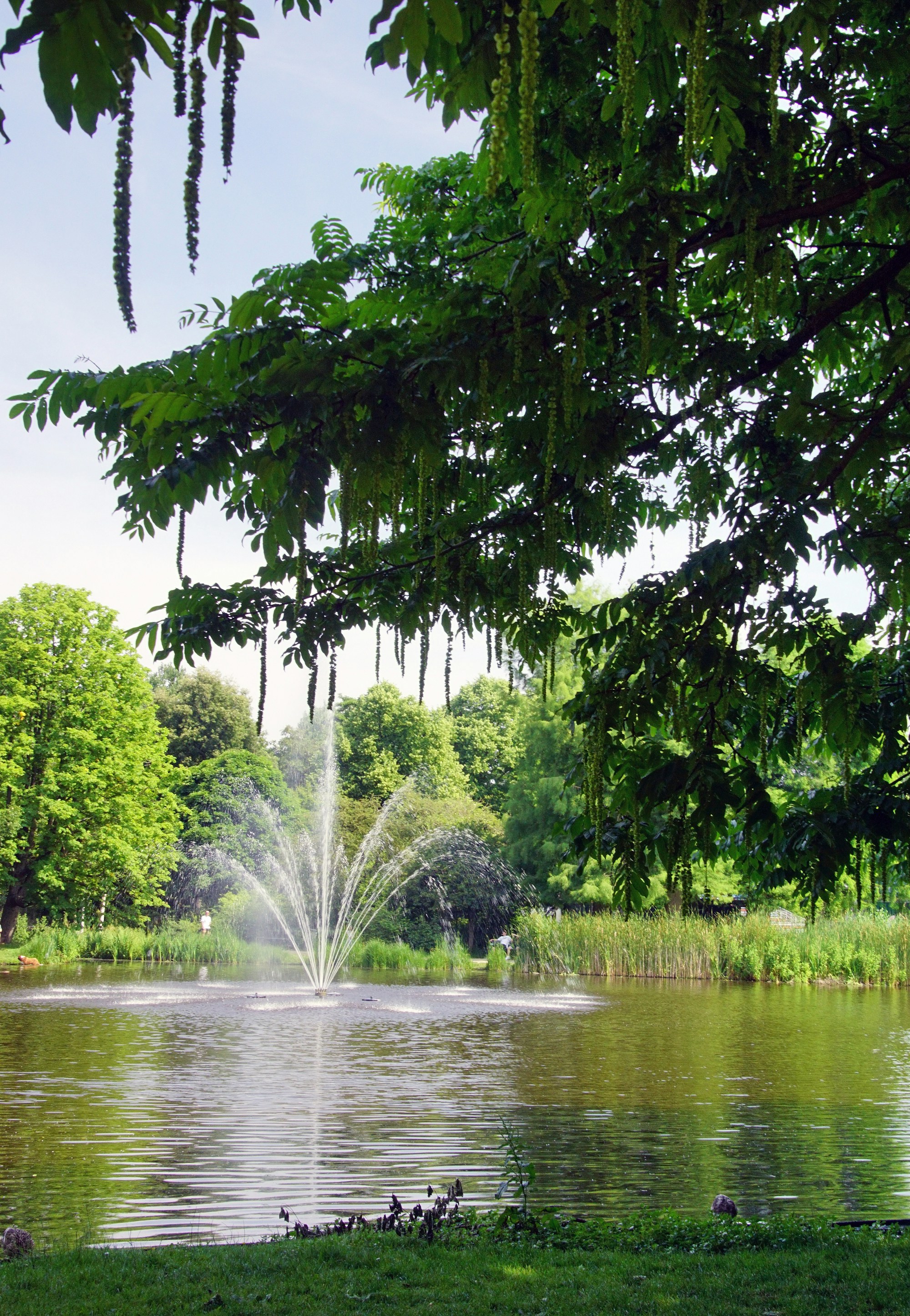 Pond fountain circulating water in a landscaped water feature