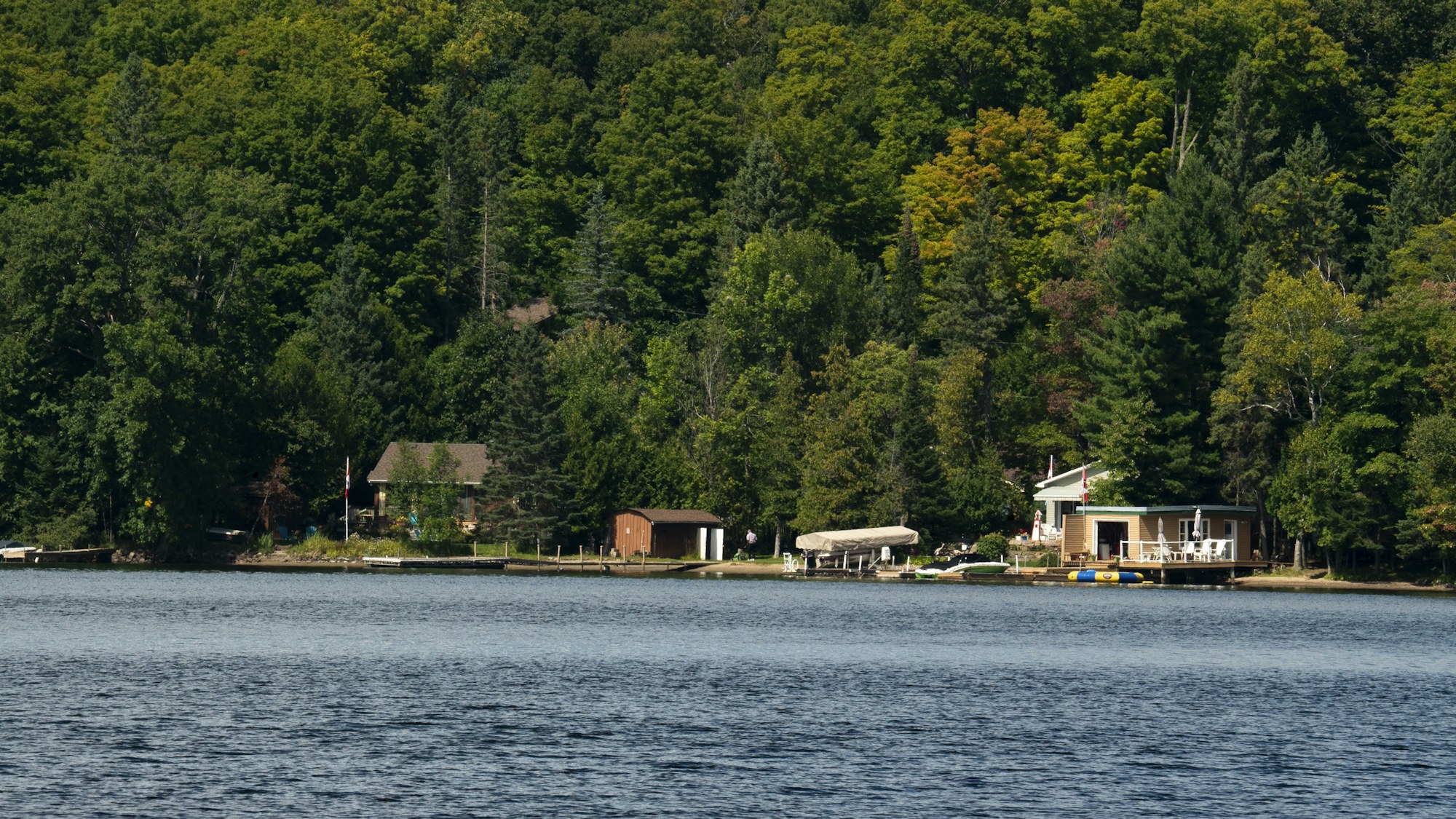 Residential lake shoreline with docks and natural vegetation